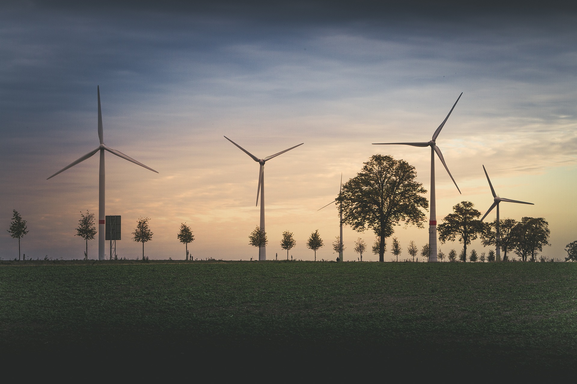 wind farm